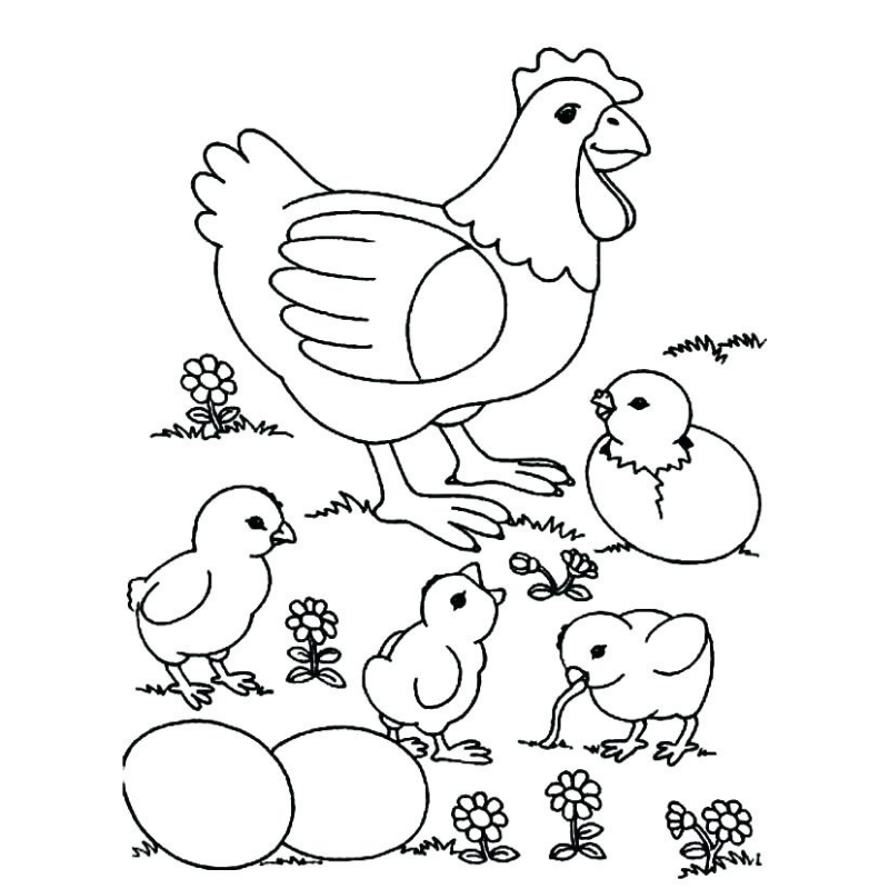 Gà mái và gà con trong trang tô màu gia đình