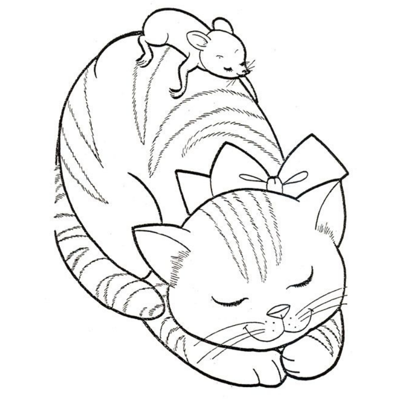 Mèo và cầu vồng Tô màu hạnh phúc
