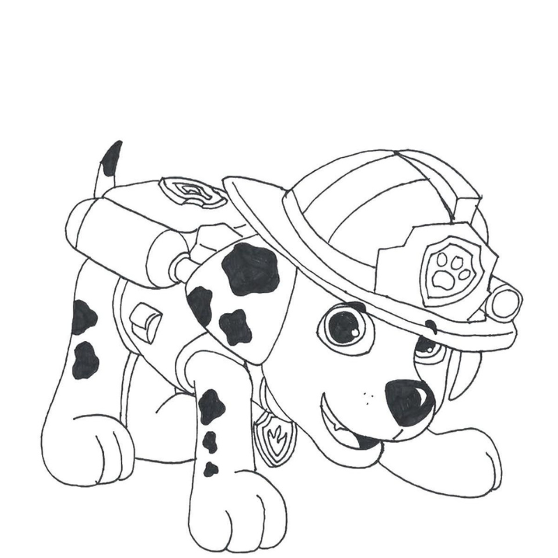 Tô màu chú chó Dalmatian với đốm đen đặc trưng