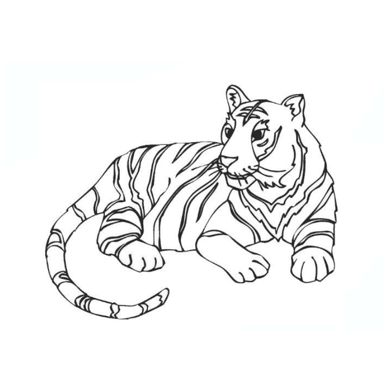 Tô màu con hổ trong cuốn sách tô màu động vật hoang dã