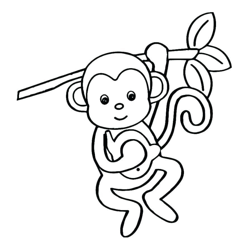 Tô màu khỉ con đang chơi đùa cùng bạn bè