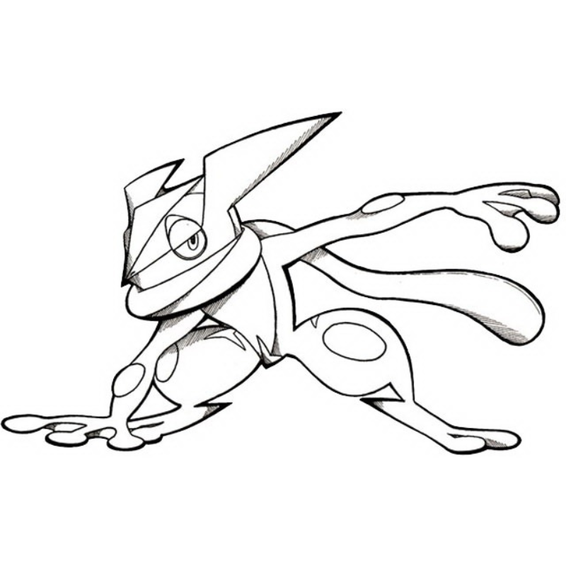 Gekkouga Pokémon Cách tô màu để làm nổi bật hình ảnh