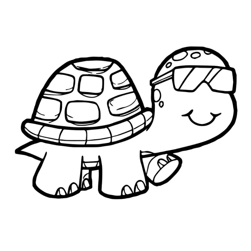 Tô màu con rùa Một hoạt động giáo dục vui vẻ
