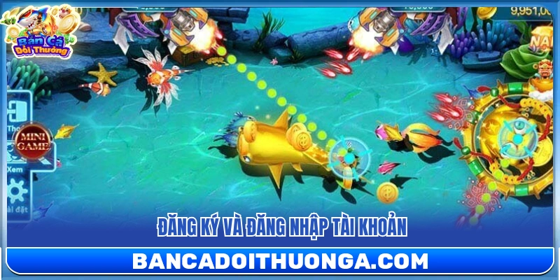 Khởi tạo thông tin và truy cập vào hệ thống