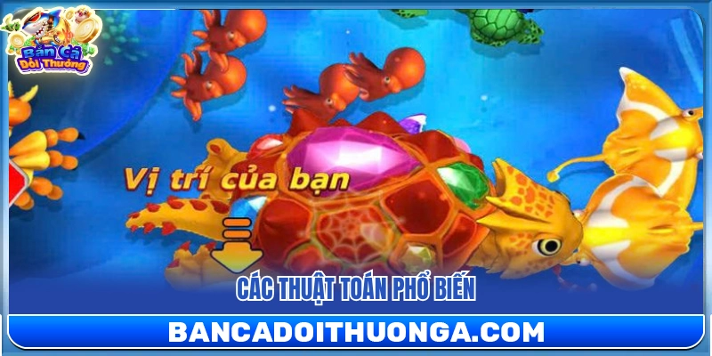 Những quy luật lập trình thường gặp nhất 