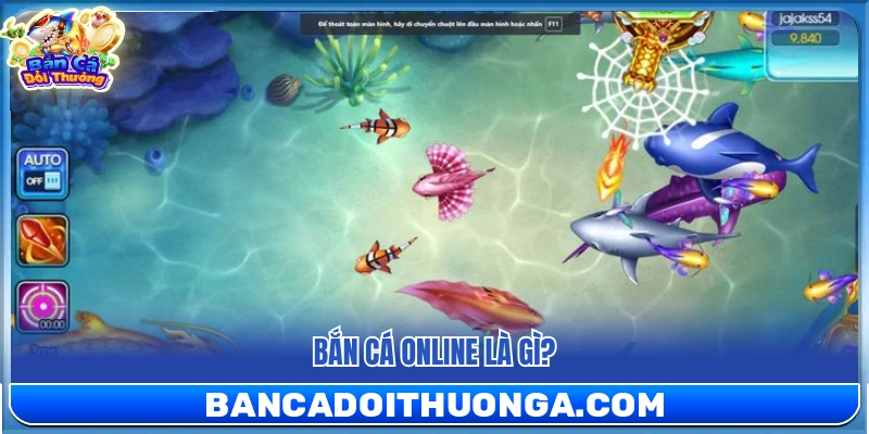Giải trí bắn cá trực tuyến là gì?